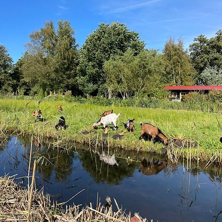 Huisje Op De Dijk Kortenhoef Екстериор снимка