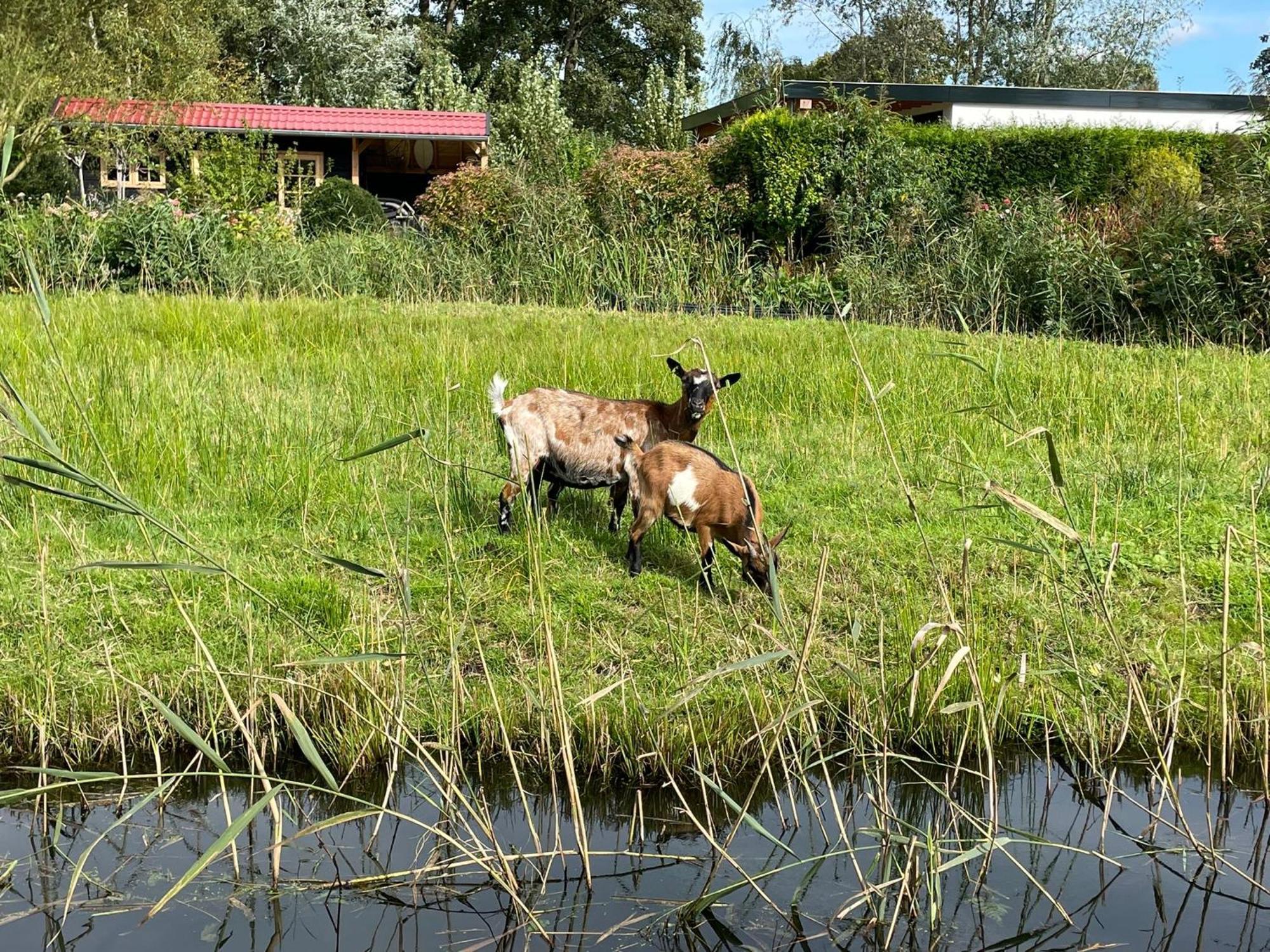 Huisje Op De Dijk Kortenhoef Екстериор снимка